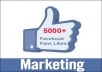 Get you 8000+ Real Human Likes To your Facebook FanPage