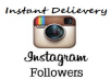 Give You 1,000+ High Quality Instagram Likes Or Followers Instant Delievery