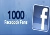 add 1000 High Quality USA Facebook Likes to your fanpage