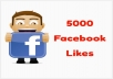 add 5000+ facebook likes to your page
