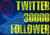 provide you 30000+ ║Real looking twitter follower║NO BOTS║NO ADMIN ACCESS║NO HIDDEN CHARGES║