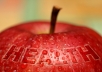 review your product on my High Quality Maintaining Health and Body Fitness blog, it will boost your serp on google
