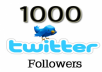 add 1000 Twitter Followers to your profile within 24 hours