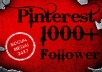 LEVEL 3 USER provide 1000+ permanent Pinterest follower Within 24 hrs