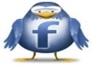 Give you 575+ Facebook likes,100% real work Guarantees,only