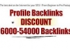 Create 6000 Profile Backlinks 