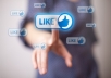 add 100 facebook likes vote for any picture, photo, blog or website fanpage fast deliver within 24 hours