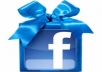 give u 1000+ real and active facebook fanpage like within 24hrs 