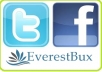give you 300 facebook likes+ 300 twitter followers