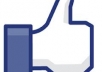 give you 500 real facebook photo / post likes