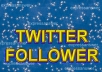 add 1000 USA and Active Twitter Followers in 24 Hours, no password needed