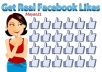 1500+ High Quality Total Real Active Facebook Likes, Just Quick Genuine Fans, pagelikes, fbfans, facebook pages!!!