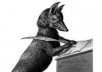 write an enticing and positive review of your writing..!@