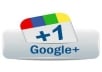 Give you 100+10 verified google+1 vote on your website,guaranteed work Only