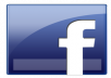 give you 1000 facebook fans page like very quickly
