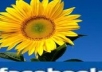 give you 750+real twitter followers!!! 100% real ONLY 
