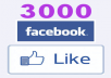 give 3000+ High Quality Active Real Permanent Facebook Likes or Fans to your facebook fan Page, all likes deliver within 1 day