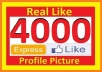 give 4000+ High Quality Active Real Permanent Facebook Likes or Fans to your facebook fan Page, all likes deliver within 1 day !!!!!