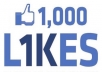 give 1500+ High Quality Active Real Permanent Facebook Likes or Fans to your facebook fan Page, all likes deliver within 1 day !!!!