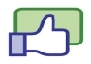 Give You 100 Real Facebook Likes Fan Page