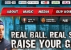 give 1000 Facebook likes to IMDb, Reverbnation, Pinterest or any website URL other than Facebook....