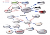 ★ Highly Rated Seller ★create 100+ permanant DOFOLLOW Backlinks from High Page Rank Authority sites + ping +rss 