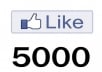 give 5000+ Facebook Likes or Fans