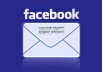 Give you HIGH Quality 1,5 Million 100 Percent Facebook USA Email List to promote your business or your service