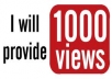 provide 1000 youtube views, 50+ likes,50 +subscribes