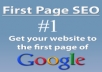 undertake an seo audit on your website and provide you with a step by step report to get you ranked quickly for