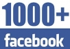 provied 1000 facebook likes