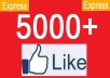get you 5000 to 5500 Real looking [PERMANENT] facebook likes or fans to your facebook fanpages, all likes deliver within 24 hours 