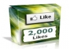 provide you with 2000 USA likes in your facebook fanpage within 24 hours