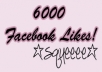 provide you with 6000 likes in your facebook fanpage within 24 hours