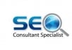 physically produce  10 PR9 Google Sage Backlinks from 10 Pr 9 Authority websites + Panda and Penguin Friendly + indexing 