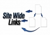 create a Site-Wide Link on High PR India Tourism Blog for a Month