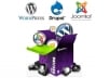 install and setup Wordpress or Joomla or Drupal in your hosting only