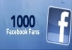 add 1,000+ Quality Facebook Likes, to your Fan Page