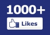 provide You 1000+ USA Facebook Likes or Subscribers