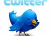 add 25000+ real twitter followers within 10 days no need for admin access