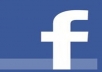 add you 252+ facebook likes 