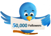 give 50,000 twitter followers no password
