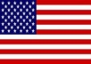 give you 1000 USA visitors daily