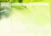 provide 5400+ Guaranteed Facebook fans and likes, no admin access needed in 22 hours