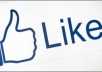 give You Guranteed 3000+ Real Facebook Likes for you facebook fanpage 