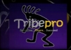 promote ONE link through TribePro so that it gets shared syndicated at least 1,237 times..!!!!!