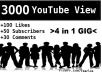 give you 1000+[REAL HUMAN] youtube views,50 Likes,50 Subscribers,50 Favorites,30 Comments