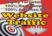 send 1000 real targeted USA and all world visitors to your website,business