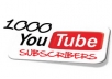 Give You 1k-(1,000+) Youtube Subscribers To Your Channel