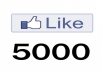 Get You 5000+ High Quality Facebook (Fan Page) Likes Only